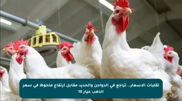 تقلبات الأسعار.. تراجع في الدواجن والحديد مقابل ارتفاع ملحوظ في سعر الذهب عيار 18